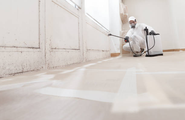 24/7 Emergency Commercial Mold Remediation experts in Ashburn, VA